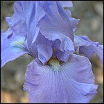 DSCN0071.JPG